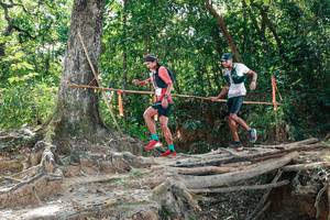 BIB: 
                            <button type="button" onclick="openModal(27801734)" class="btn btn-primary btn-sm float-right btn-popup" data-toggle="modal" data-target=".modal-high-quality">
                        <i class="fas fa-shopping-cart"></i> Add to Cart
                    </button>
                                            <button type="button" onclick="isThisMe(27801734, true)" class="btn btn-success btn-sm float-right btn-popup btn-isme hidden" data-toggle="tooltip" data-placement="bottom" title="นี่คือรูปของคุณใช่ไหม คลิกที่นี่เพื่อเอาเข้าอัลบั้ม">
                        <i class="fas fa-plus"></i> Add to album
                    </button>
                    <button type="button" onclick="isThisMe(27801734, false)" class="btn btn-warning btn-sm float-right btn-popup btn-isnotme hidden">
                        <i class="fas fa-ban"></i> Remove from album
                    </button>